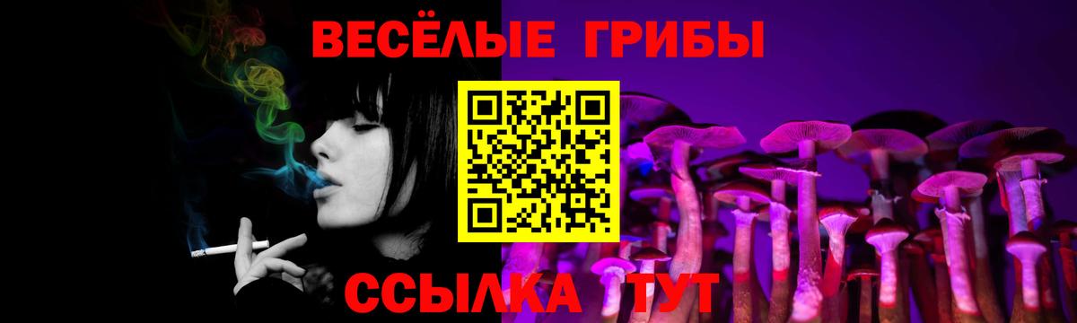Клинцы  Галлюциногенные грибы Magic Shrooms  Вход с VPN 